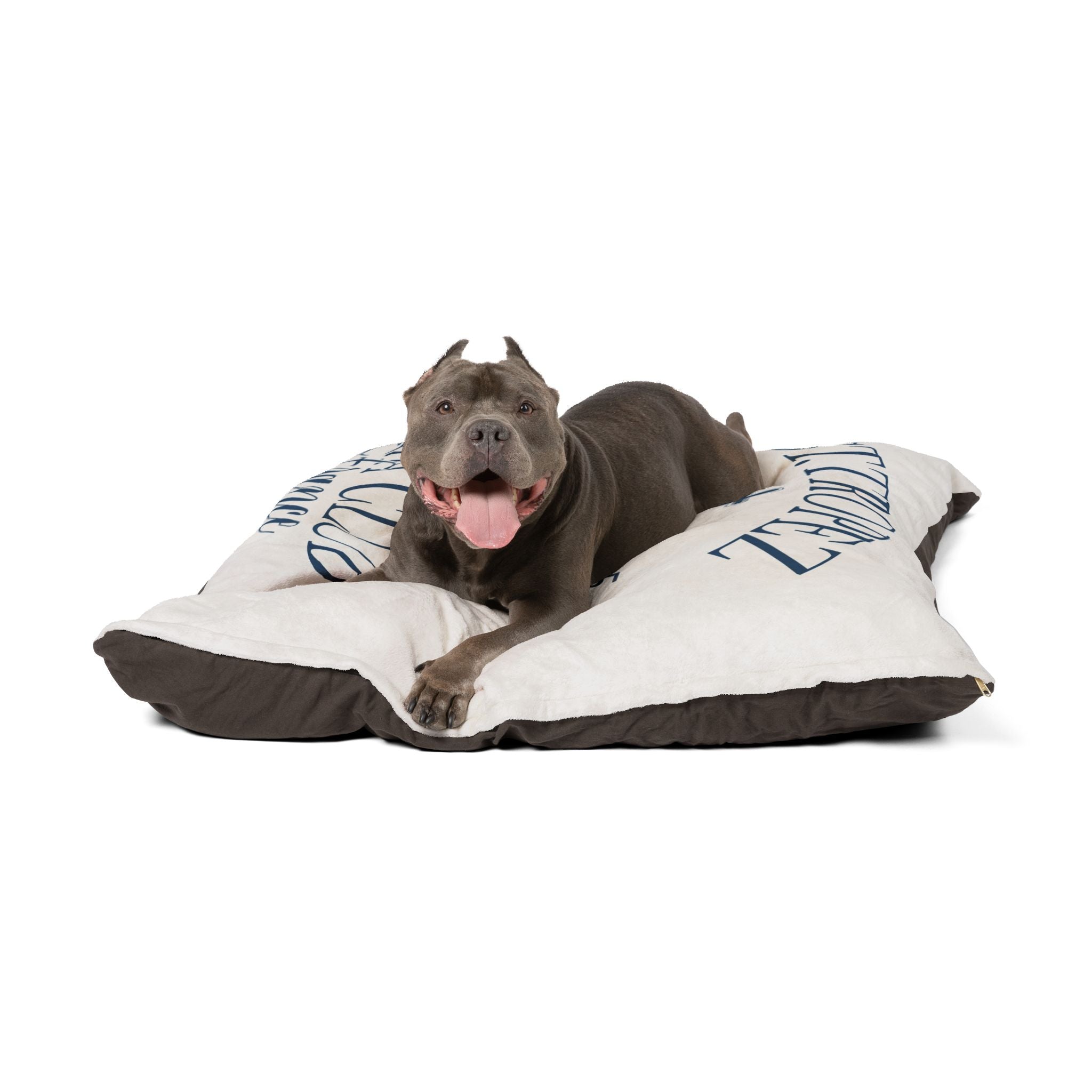 Stylish Pet Bed — Chic Interior Accent for Women Who Love Personalized Home Decor