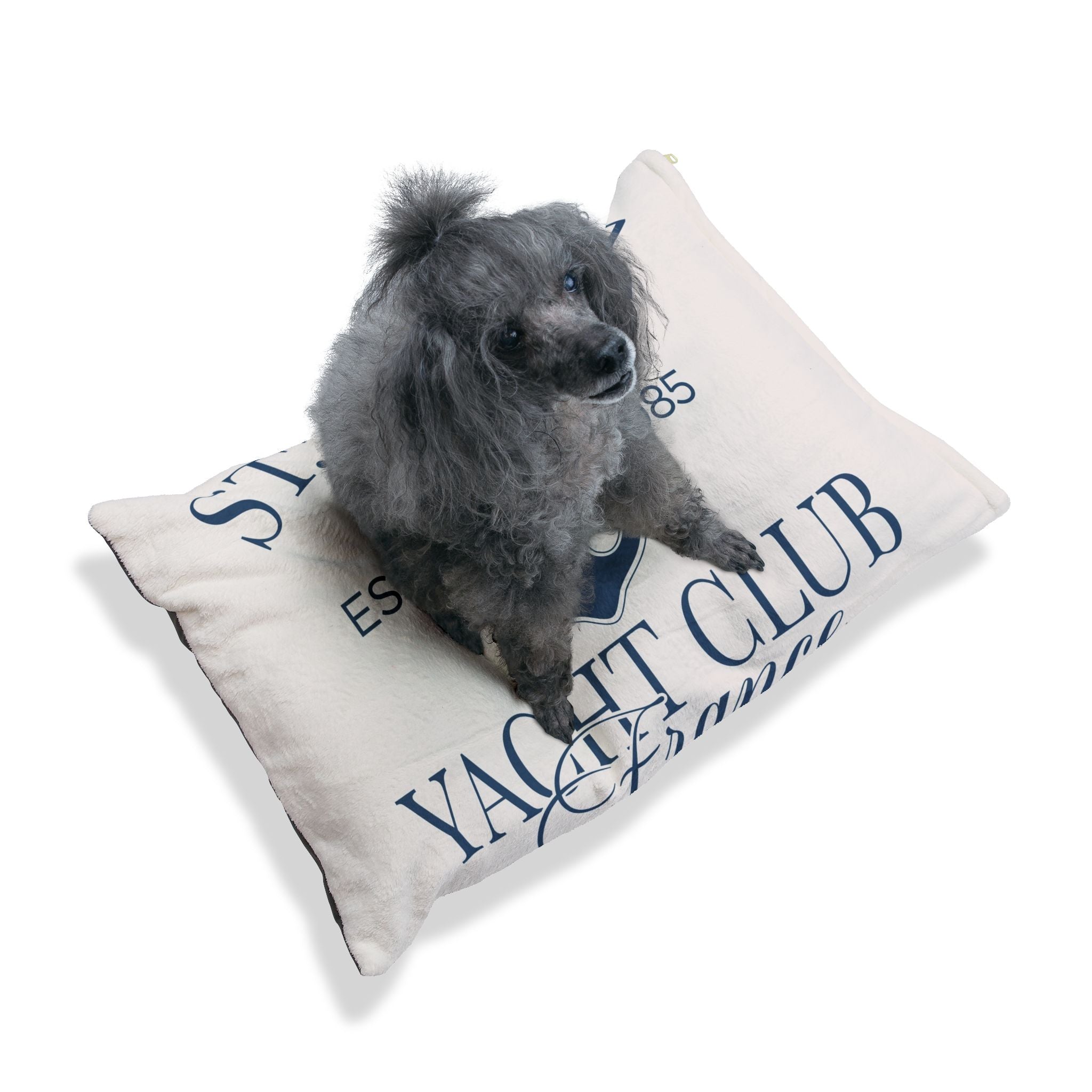 Stylish Pet Bed — Chic Interior Accent for Women Who Love Personalized Home Decor