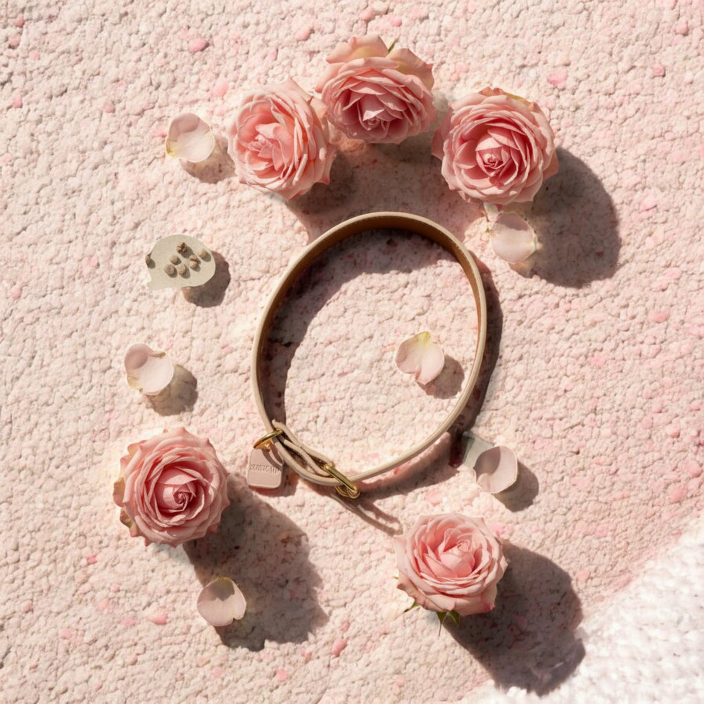 The Charmer Collar – Blush